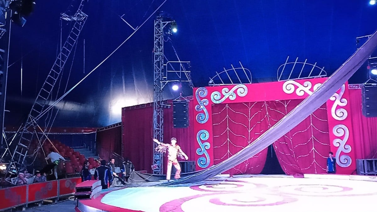 ¡Orgullo leonés! Circo Robert's celebra 40 años de mágicos shows en la Feria de León