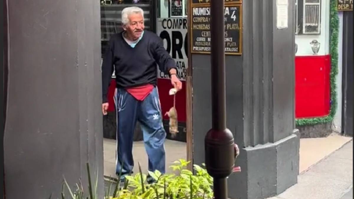 VIDEO ¡Macho alfa! Hombre agarra a una rata de la cola y la tira a la basura