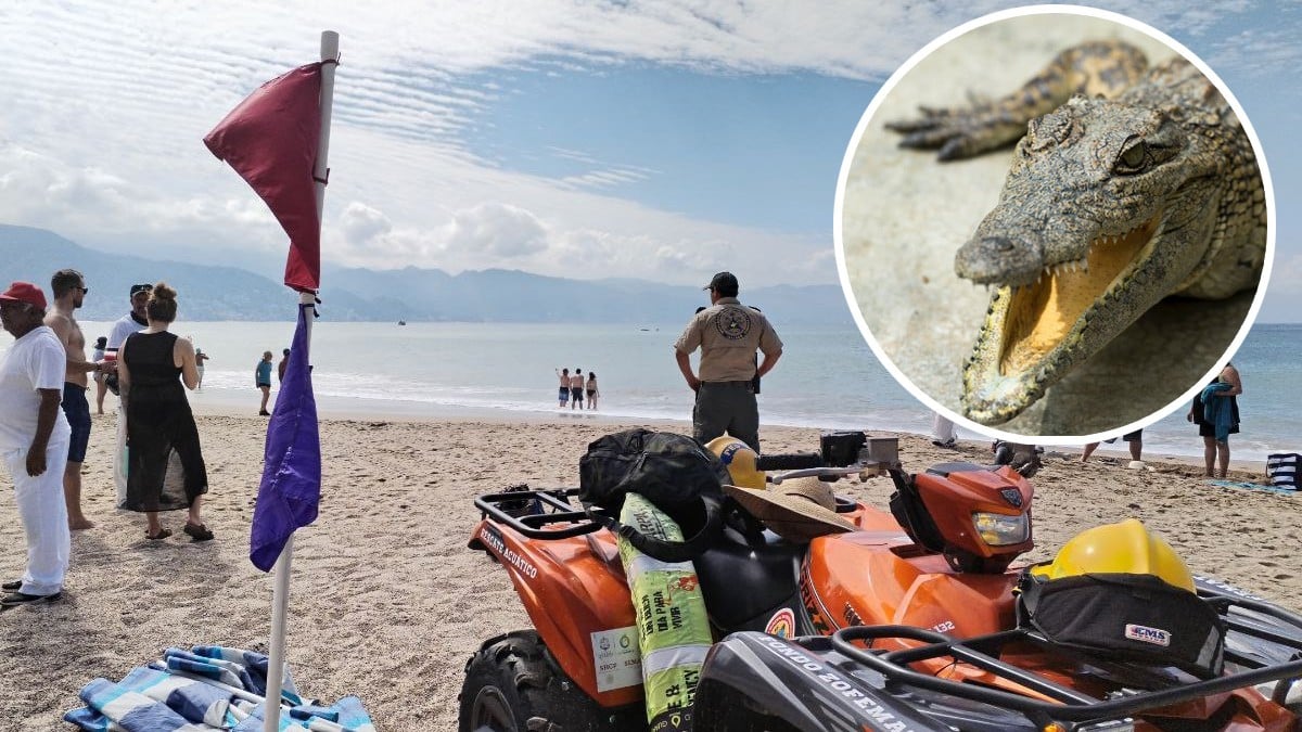 Cierran todas las playas de Puerto Vallarta ante amenaza... ¡por cocodrilo!