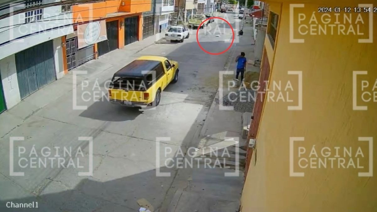 VIDEO Captan a camioneta que atropella sin piedad a perrito en Cerrito de Jerez