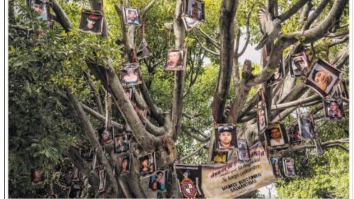 Exhiben desaparición de buscadora guanajuatense en el New York Times