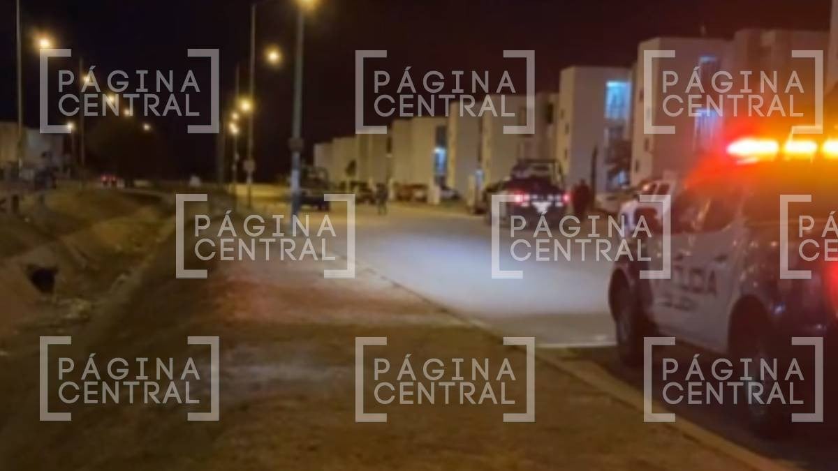 Asesinan a 2 guardias de seguridad en Héroes de León