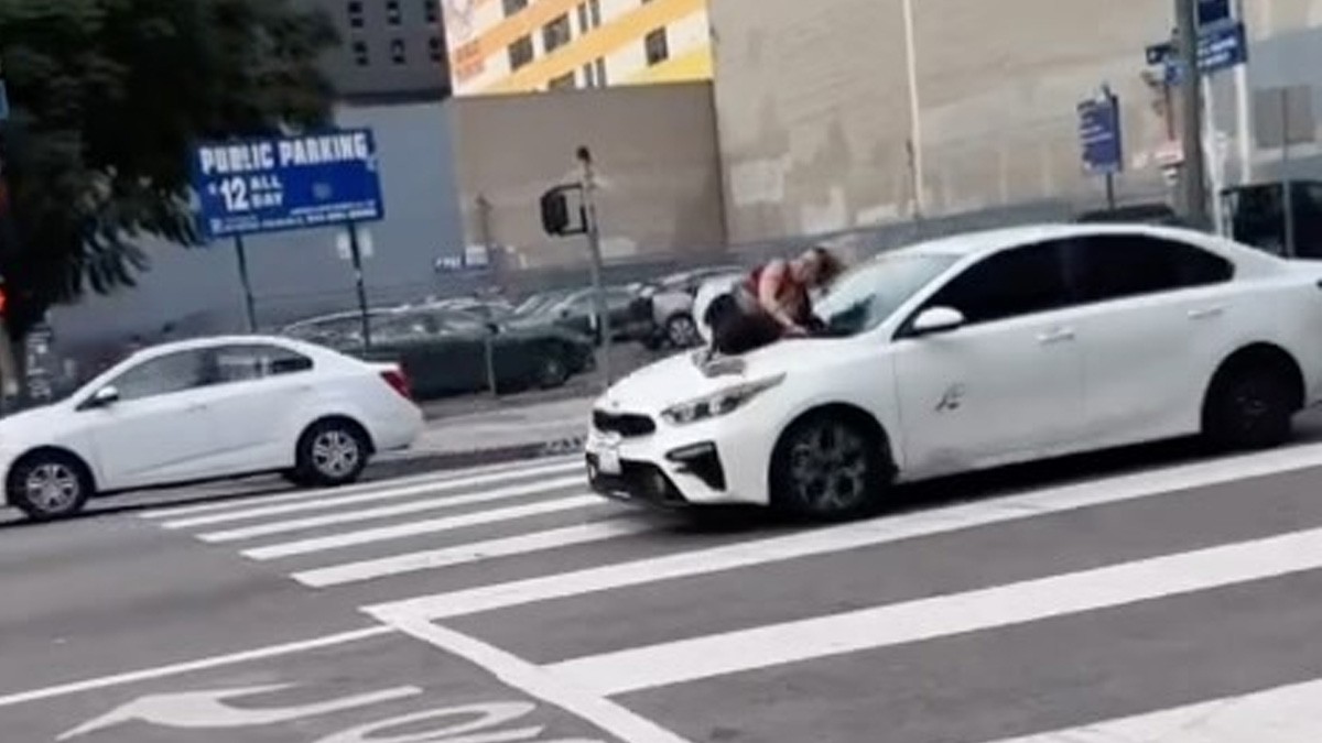 VIDEO Ladrones roban el perro de una mujer y ella se aferra al coche para detenerlos