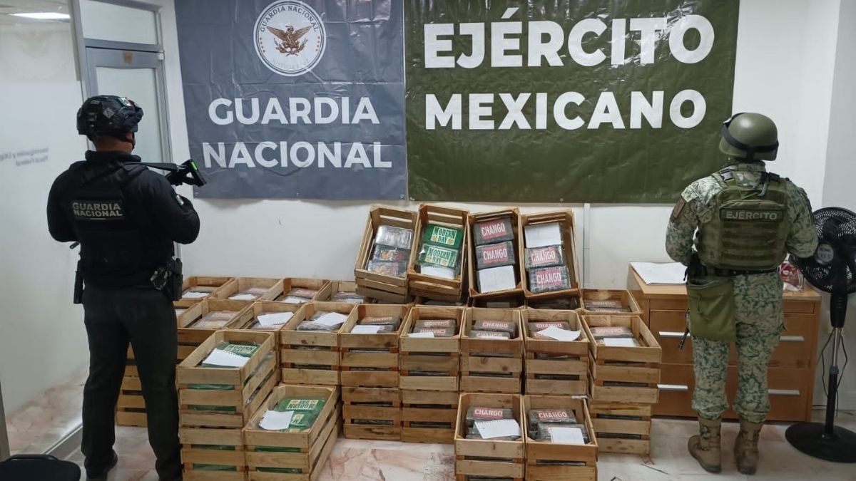 Decomisan camión cargado de nopales que llevaba oculta más de media tonelada de cocaína