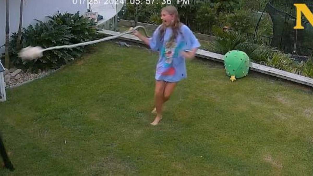 VIDEO Niña se enfrenta a víbora de 2 metros para salvar a su cuyo al que devoraba