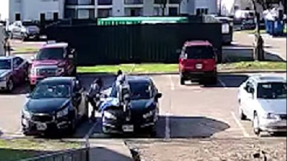 VIDEO Así ataca pitbull a mujer embarazada mientras su hijo trepa a auto para protegerse