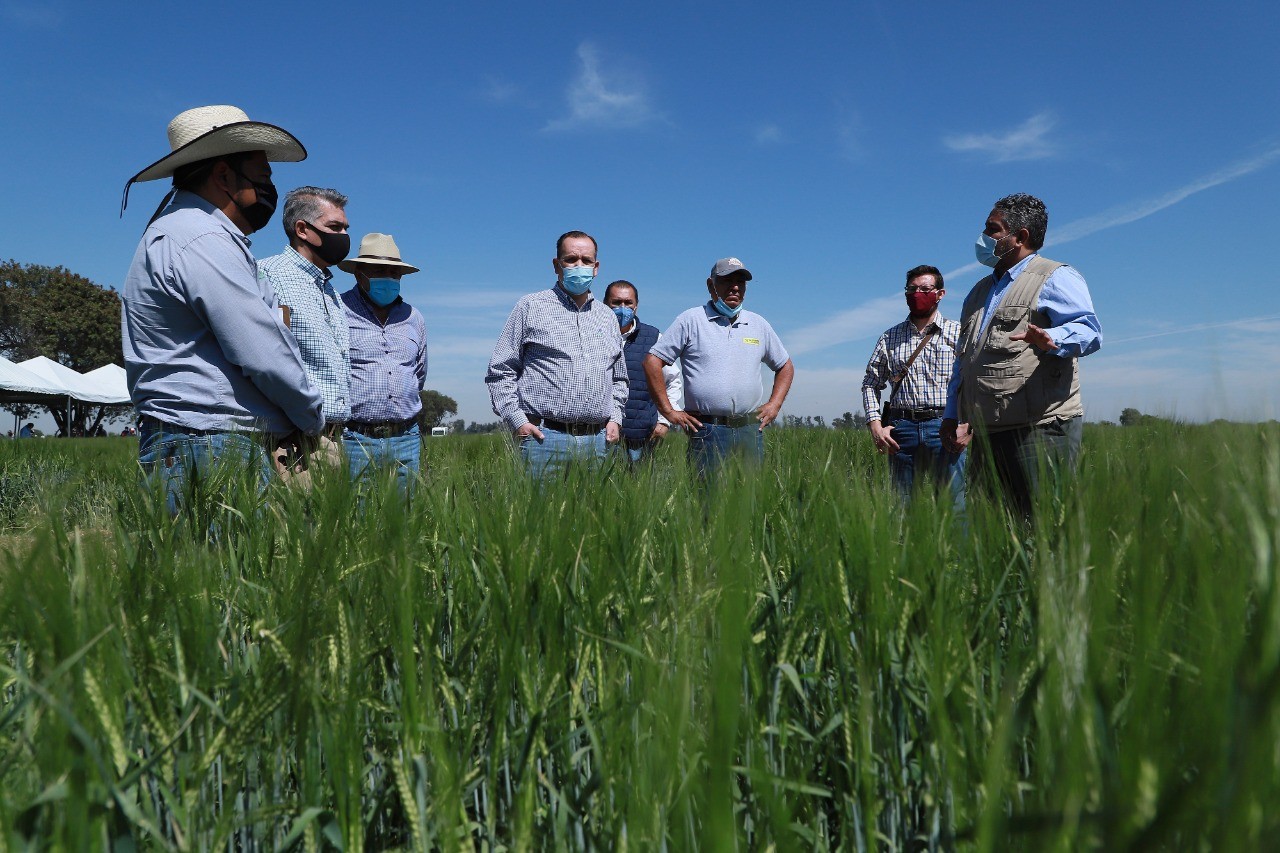 Cerveceros se llevan a agua de Guanajuato: Paulo Bañuelos