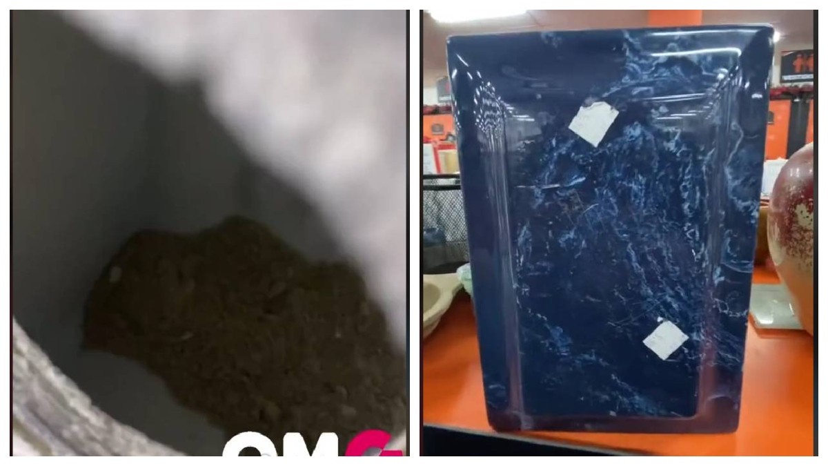 VIDEO Joven encuentra una urna con cenizas a la venta en tienda de segunda mano