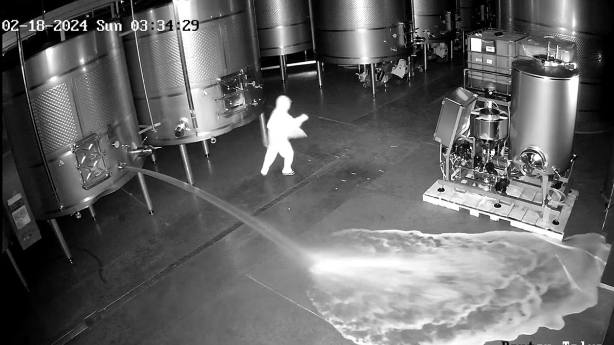 VIDEO Irrumpen en bodega de vino y derraman 60 mil litros; estiman pérdidas por 46 mdp