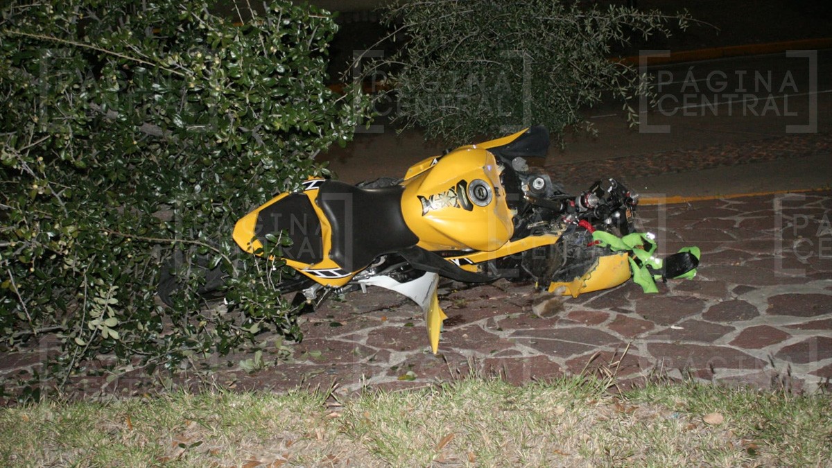 Motociclista derrapa y se estrella con un árbol en la colonia Predio Cerro Gordo