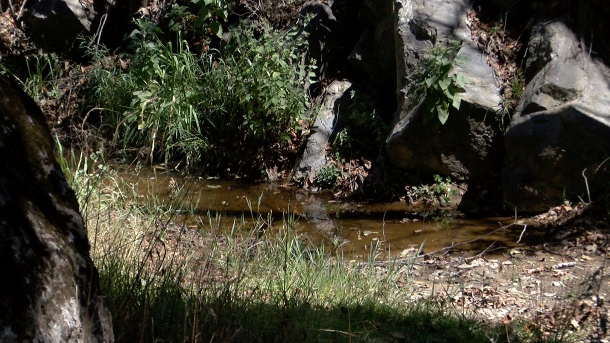 Descubren pozo de agua en comunidad leonesa Las Canelas