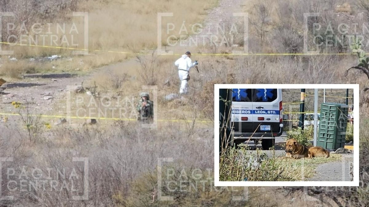 ¡Escalofriante! Perro caminaba con una mano en el hocico en Brisas del Campestre