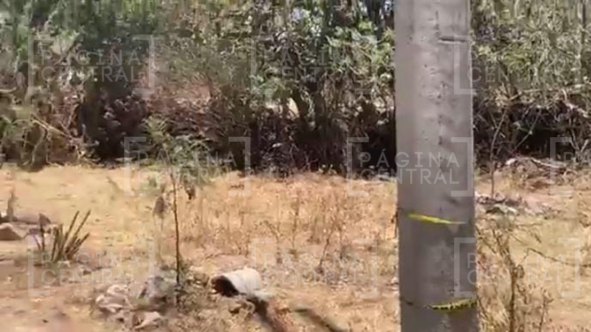 Hallan cinco cadáveres violentados en un terreno en Comanja de Corona