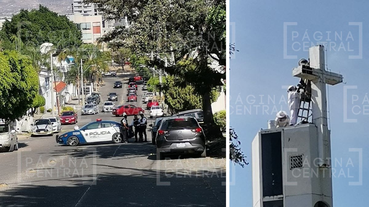 Retiran enjambre de abejas que atacaron en templo de Jardines del Moral