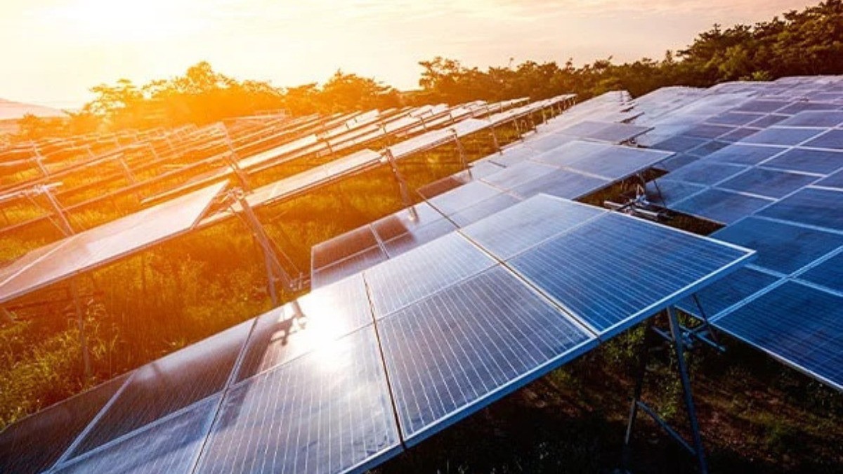 ¿Cómo puedo obtener un panel solar gratis en la CFE?