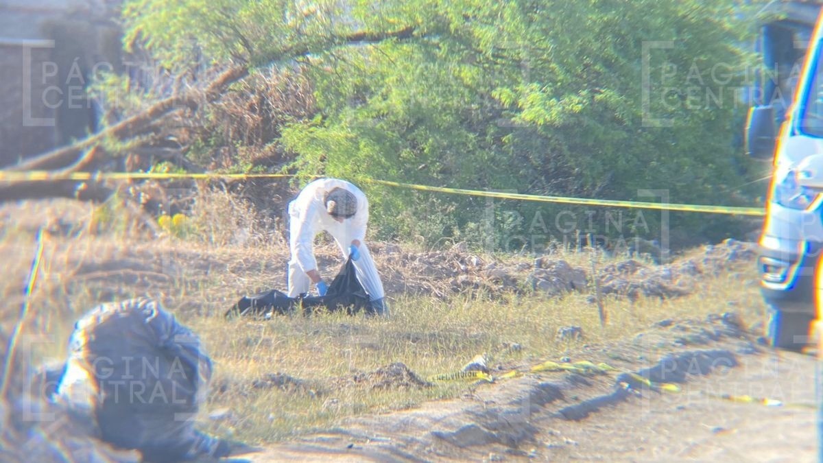 Leoneses encuentran un torso en baldío; cerca de ahí un perro se comía más restos humanos