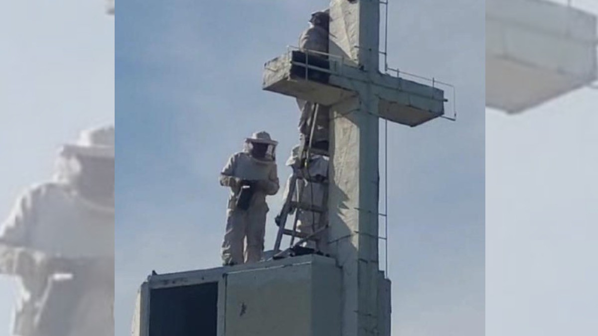 Enjambres no se exterminan, se mandan a un apiario: Bomberos