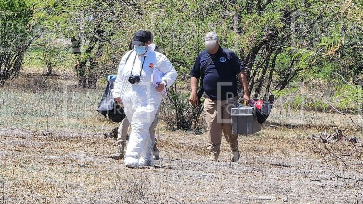 Encuentran huesos de una persona en la comunidad de Barretos
