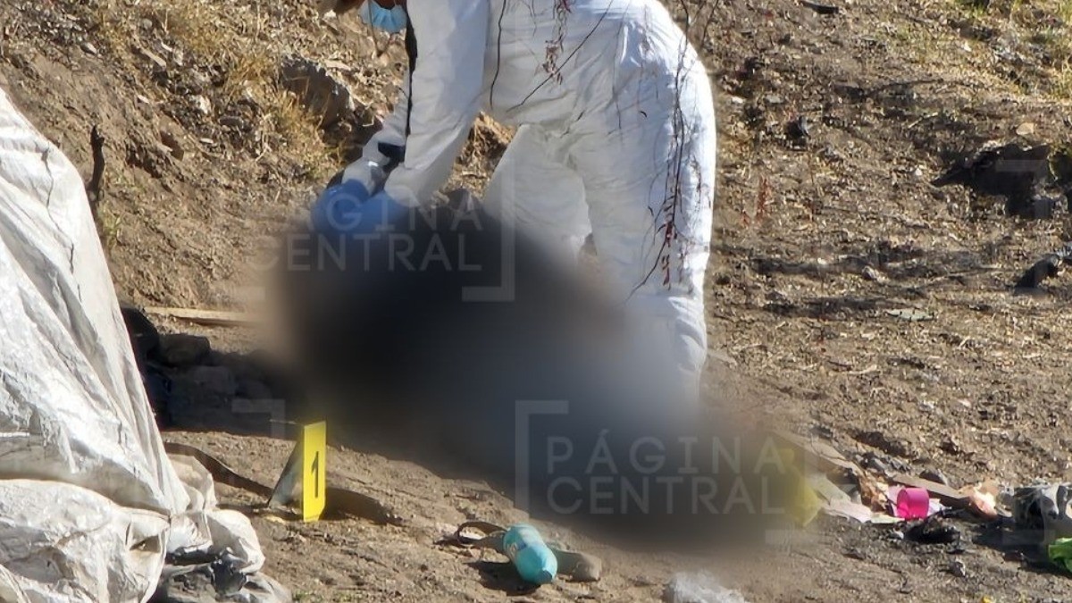 ¡Amargo amanecer! Vecinos iban a trabajar, pero hallaron esto cerca de casita improvisada