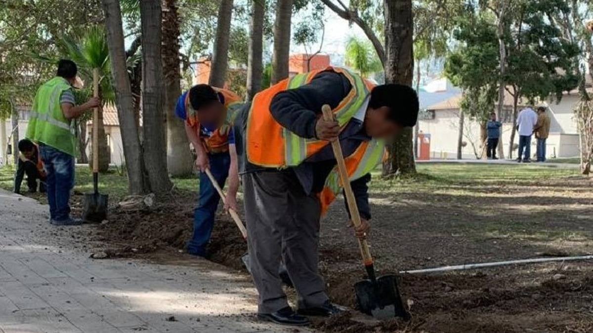 Estos son los servicios con los que puedes pagar tus multas en León