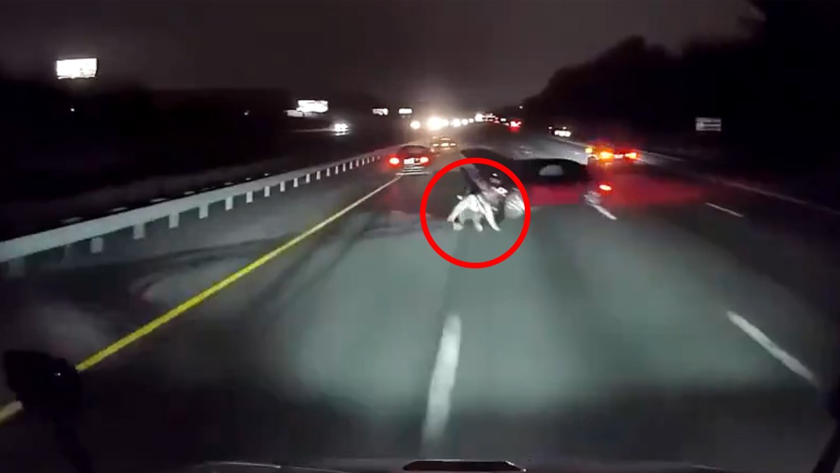 VIDEO Captan momento en que tráiler avienta a hombre en la carretera