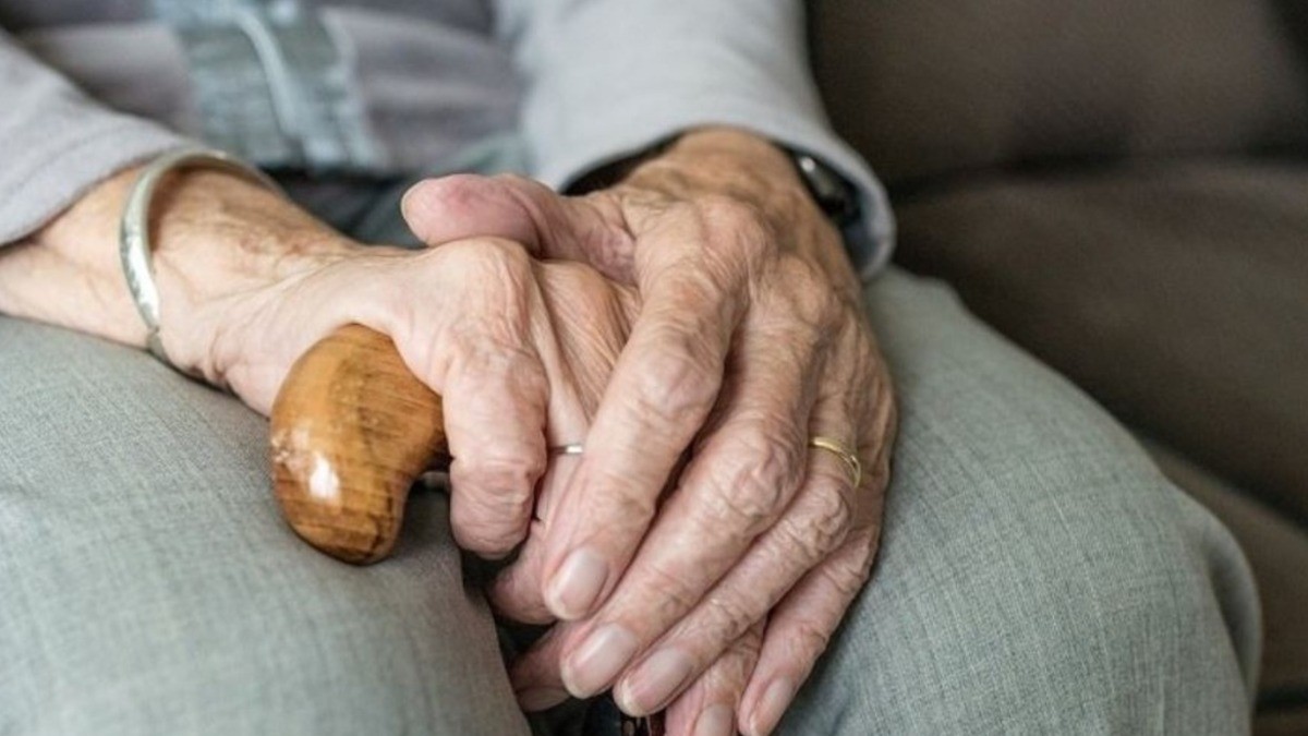 ¿No tienes tarjeta Inapam? Su emisión está suspendida temporalmente por este motivo