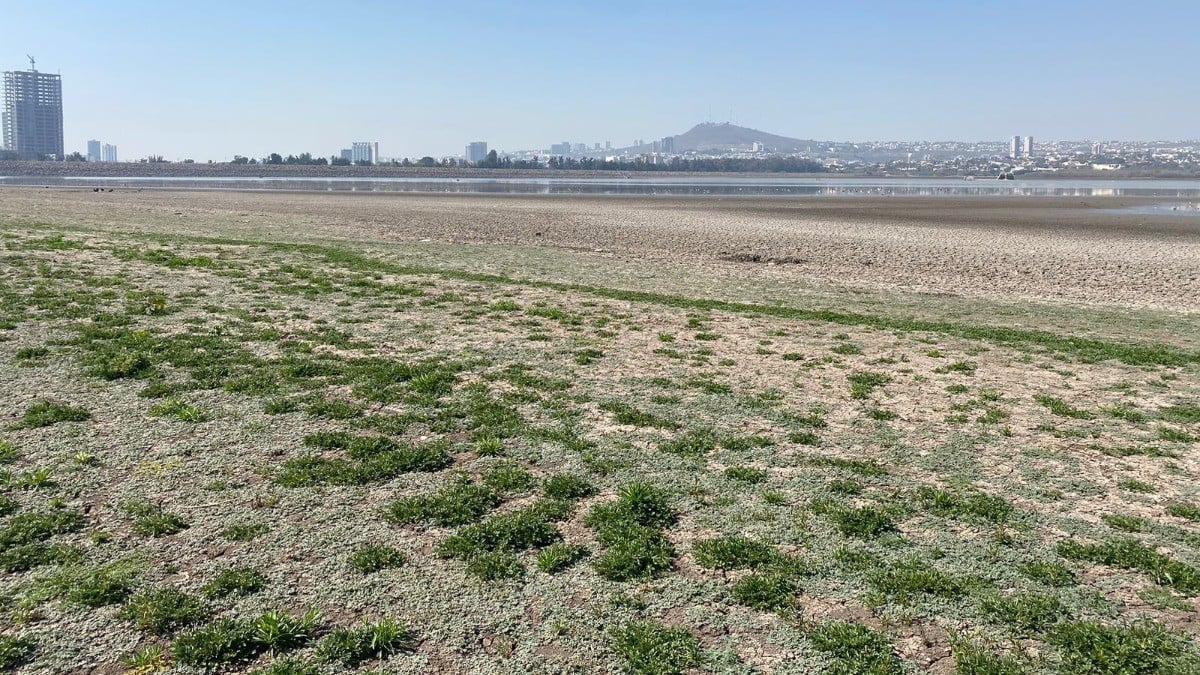 Pescadores de la presa El Palote se van de albañiles; tienen 9 días sin pescar