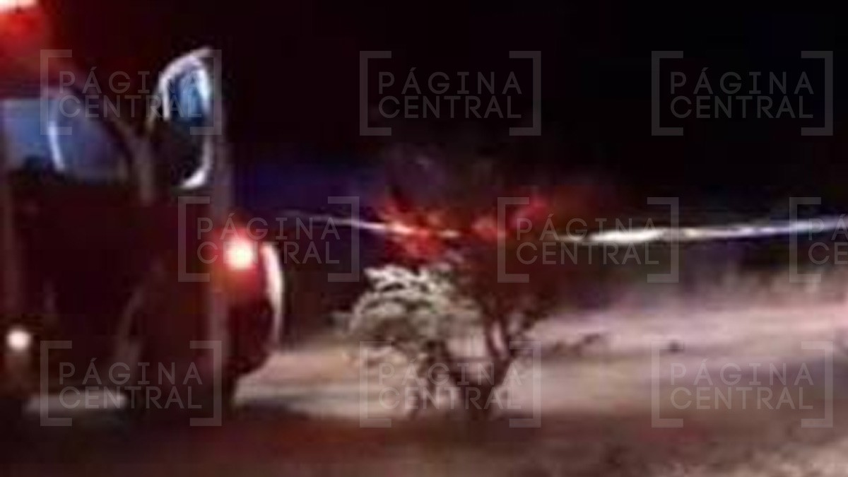 ¡Triple homicidio! Hallan los cuerpos de 3 hombres asesinados a balazos en unas parcelas