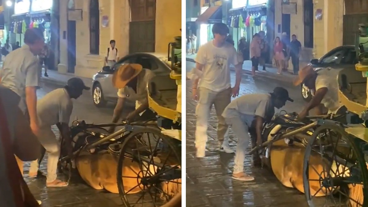 VIDEO Caballo que jalaba una carreta turística se desploma en plena calle por cansancio