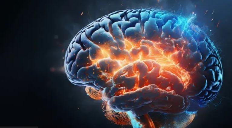 Hallan en esta ciudad ¡cerebros con más 12 mil años bien conservados!