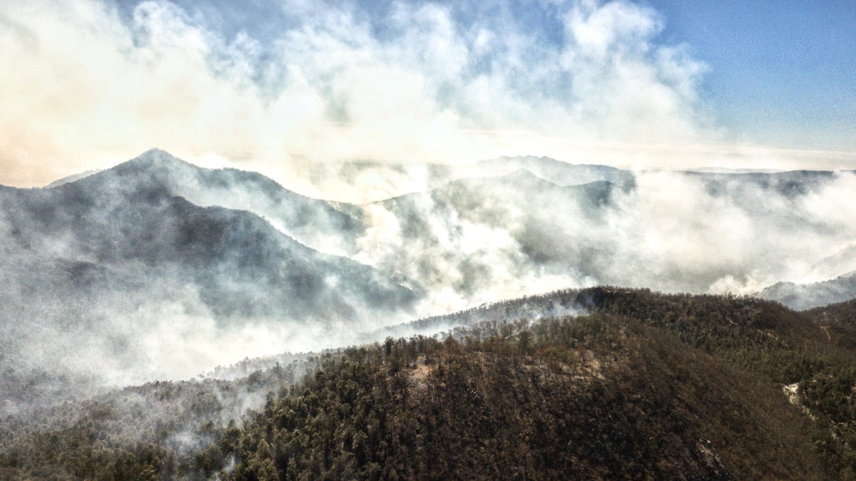 Guanajuato vive entre una sequía extrema e incendios forestales más voraces