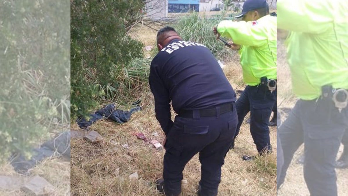 Policías patrullaban y hallan a un recién nacido abandonado entre la maleza de un baldío