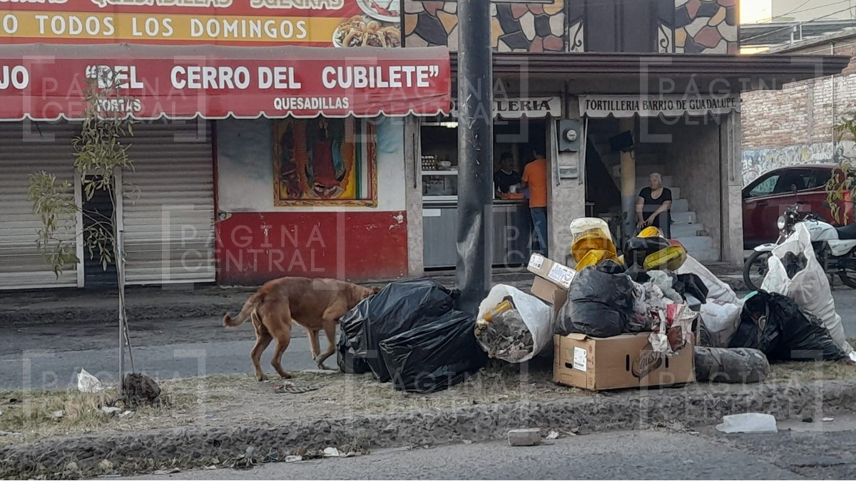 ¡No quemes tu basura! El camión sí pasará estas vacaciones