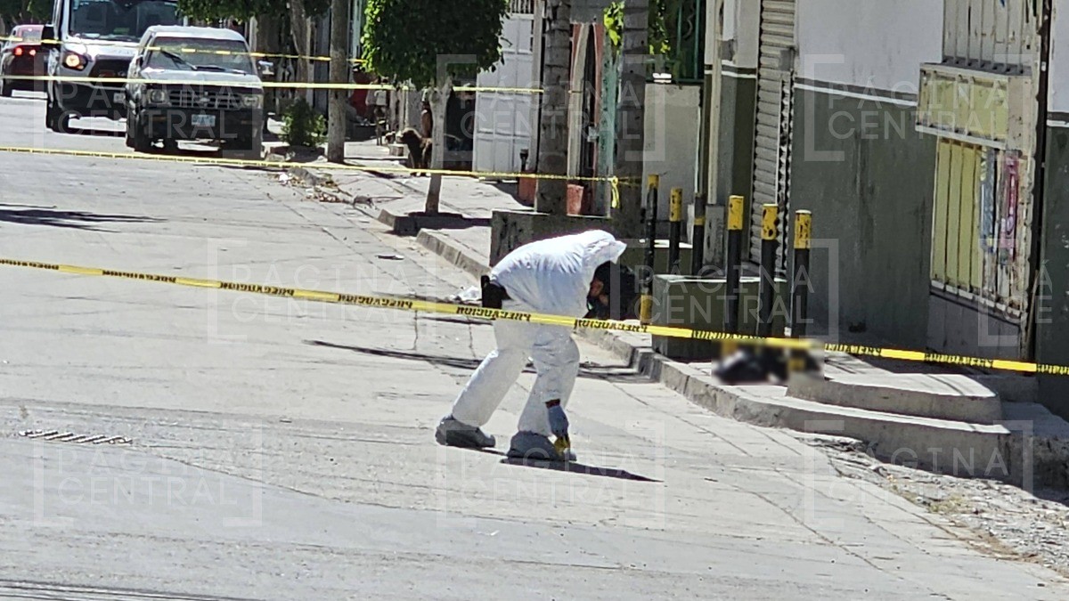 Dejan cabeza humana en la Colonia San Marcos; vecinos la encuentran en una bolsa