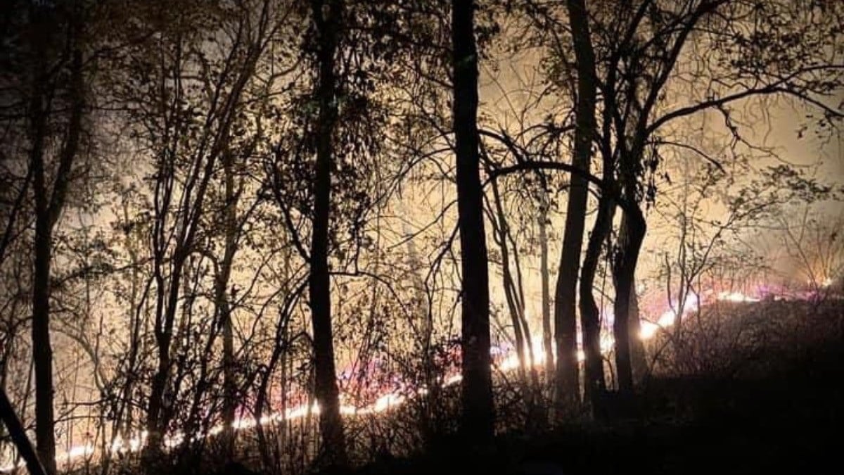 Avanza combate a incendio en la sierra de Santa Rosa; refuerzan labores