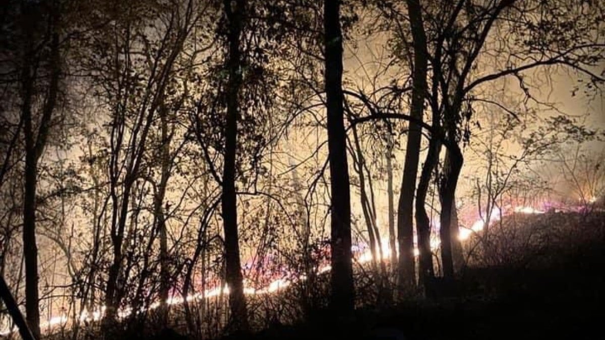 Refuerzan combate al fuego en la Sierra de Santa Rosa; suman ya 700 brigadistas