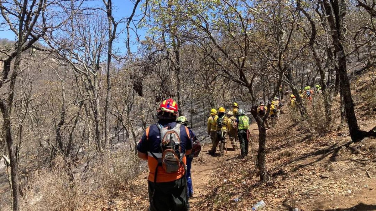 Avanza control de incendio en la Sierra de Santa Rosa; está extinguido al 65%