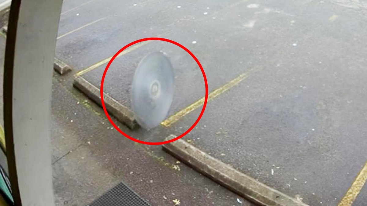 VIDEO ¡Estuvo a punto de morir! Graban cómo sierra voladora casi cercena a hombre