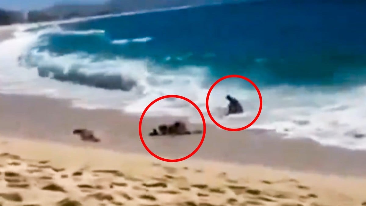 VIDEO Olas ‘se tragan’ a turistas en esta playa y la gente los ayuda a salir