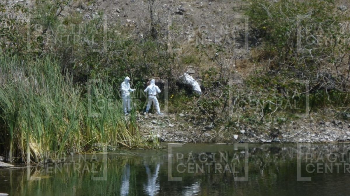 ¡Encobijado en León! Encuentran cuerpo en un estanque en La Joya