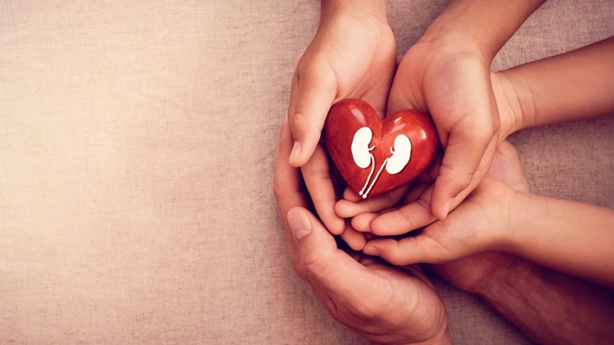 No se dan abasto: lista de espera para trasplante de riñón en Guanajuato es de 8 años