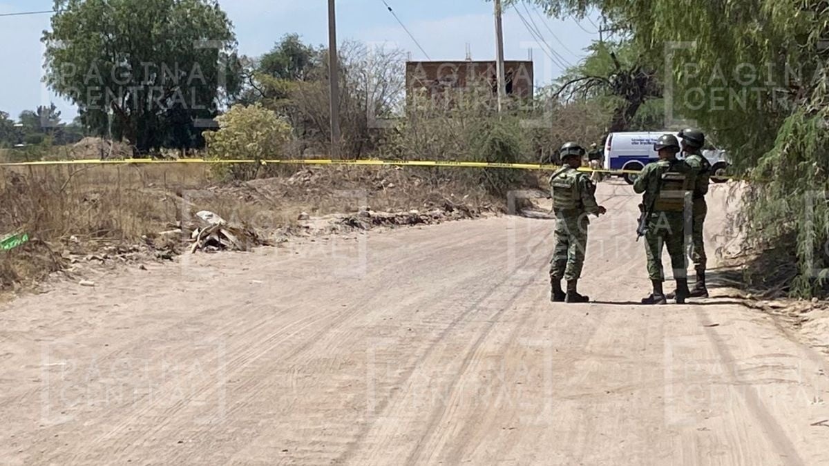 Jornaleros leoneses iban por camino de terracería y encontraron esto