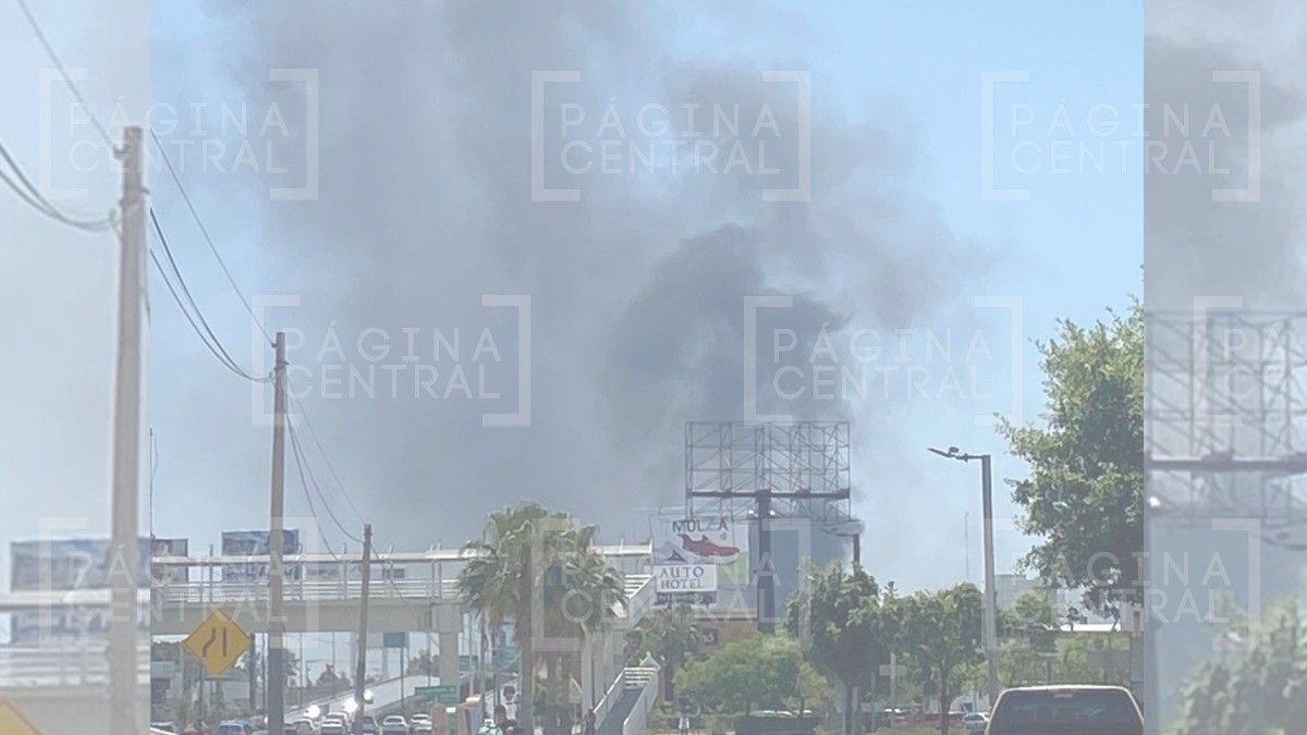 Incendio de pastizal por poco se sale de control y moviliza a bomberos en San José el Alto