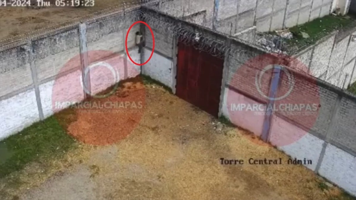 VIDEO Captan a reo justo en el momento en que escapa de penal