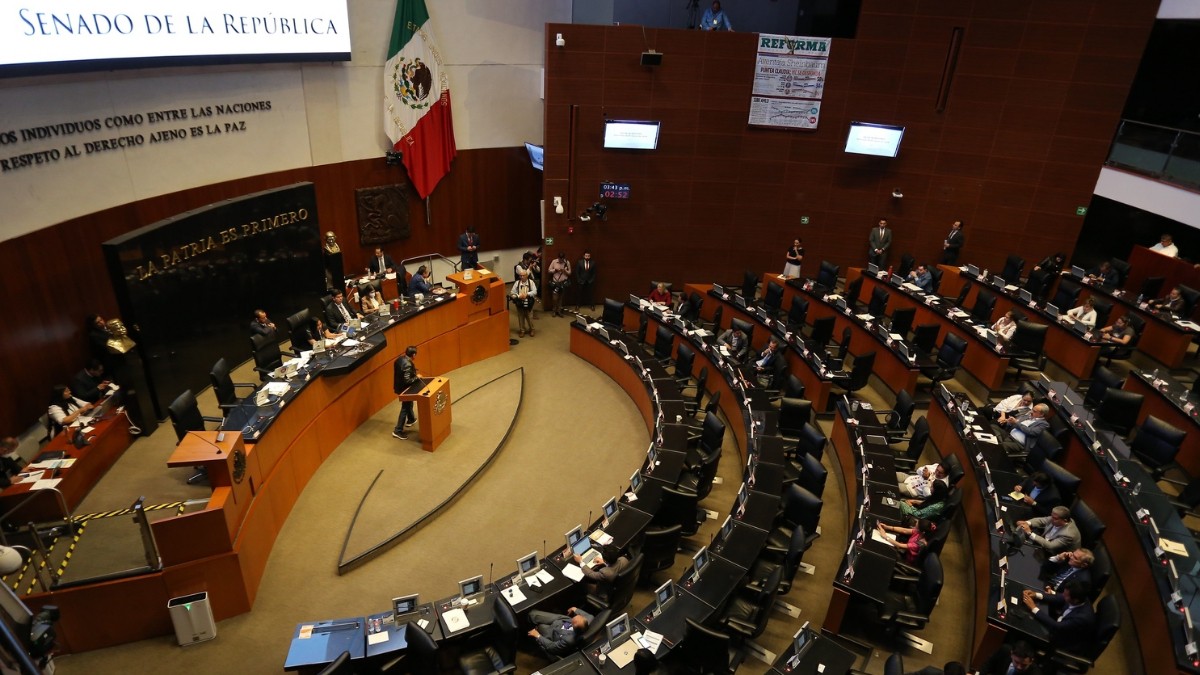 Avanza en Senado que Presidente pueda dar 'amnistía directa'