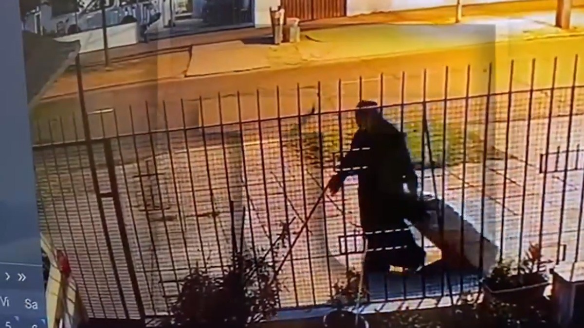 VIDEO Ni la muerte las separa: monja conserva cuerpo de su amiga y lo deja en una maleta