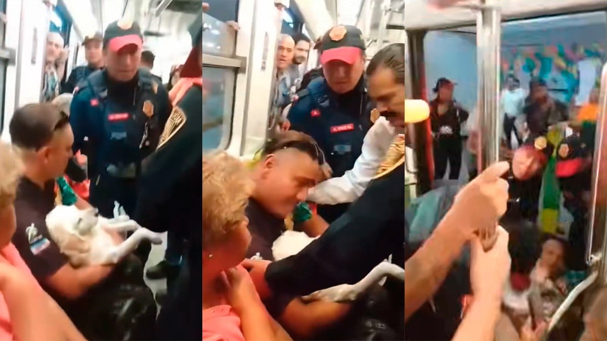 VIDEO Llevaba a su perro al veterinario en el metro pero la policía lo bajó arrastrando