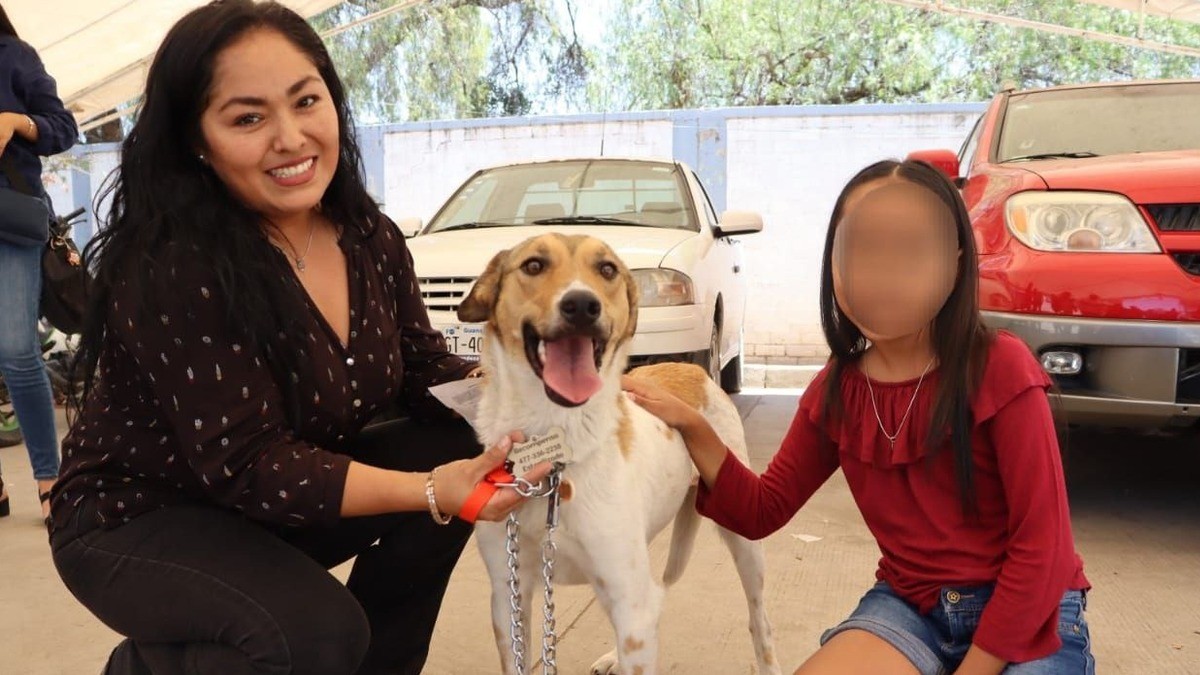 ‘Libertad’, perrita rescatada en Brisas del Campestre, llega a una casa protectora y amorosa