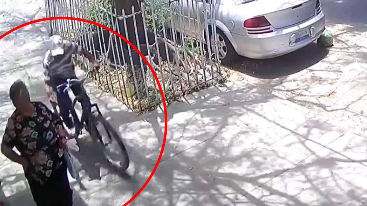 VIDEO Captan cuando ciclista intenta robar a adulta mayor que se detuvo en una sombra