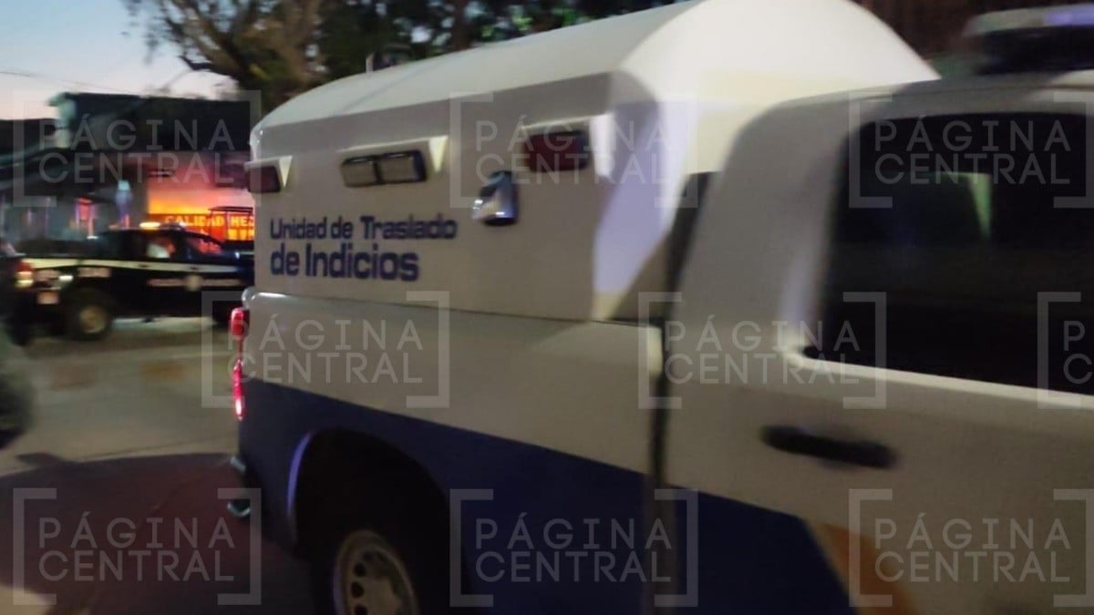 Escuchan ruidos y al salir hallan bolsas con restos de dos cadáveres en Héroes de León